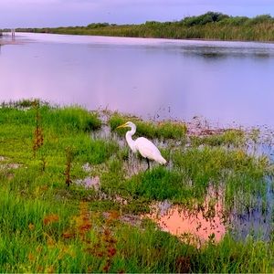 Meet your Posher, Zoe